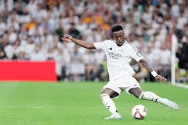 举办一系列 举办一系列