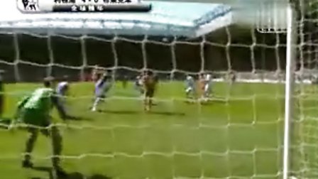 疫系统发育 疫系统发育